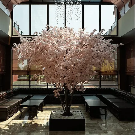 酒店 暹罗典雅spa酒店